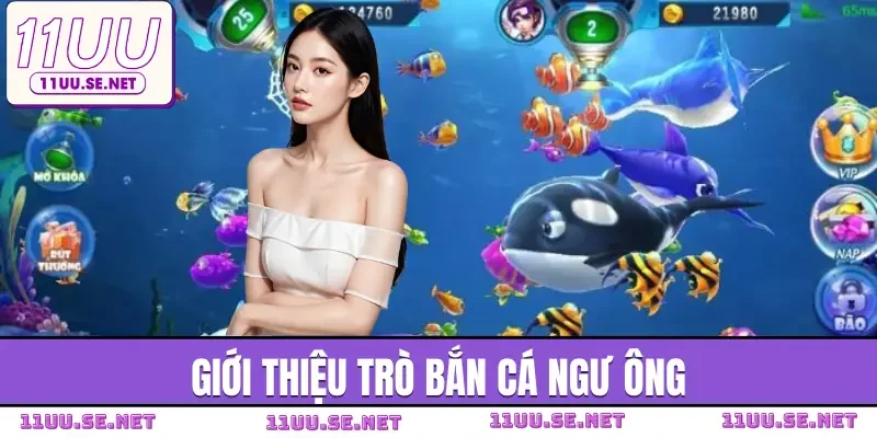 ban-ca-ngu-ong-gioi-thieu